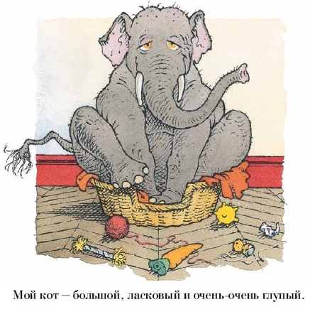 мойкот