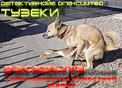 тузеки