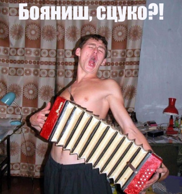 Висёлый ПацЫк