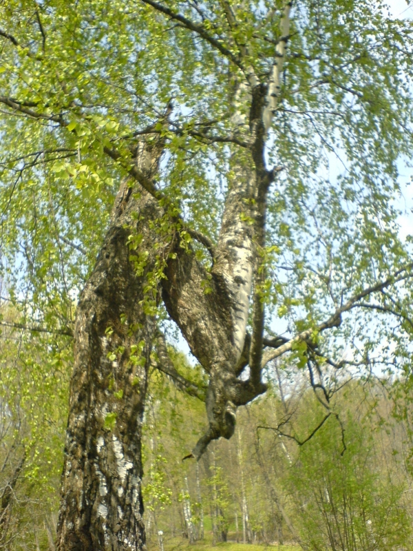 мальчег в сандаликах